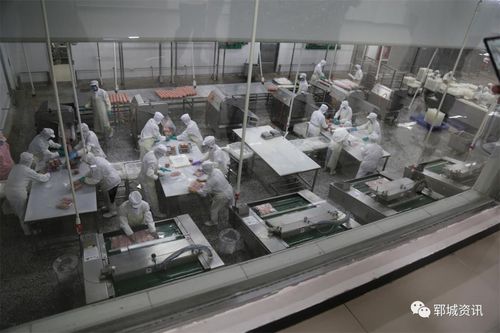 县市场监管局积极组织开展"透明工厂"体验日活动