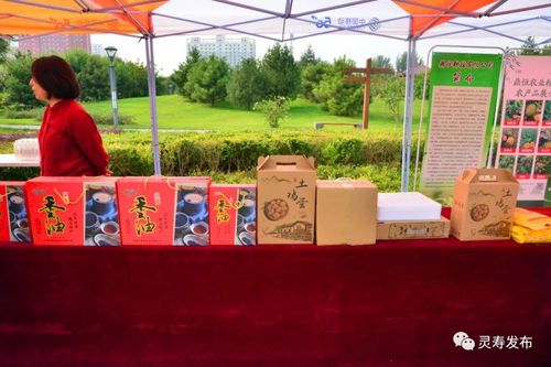 灵寿县组织开展扶贫产品展销活动